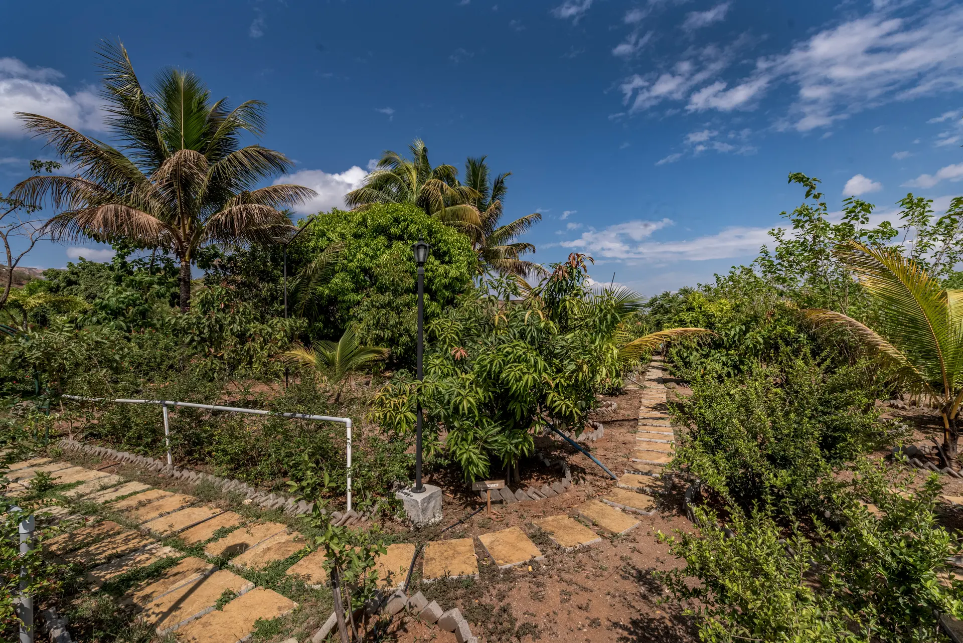 Image 51 of the property