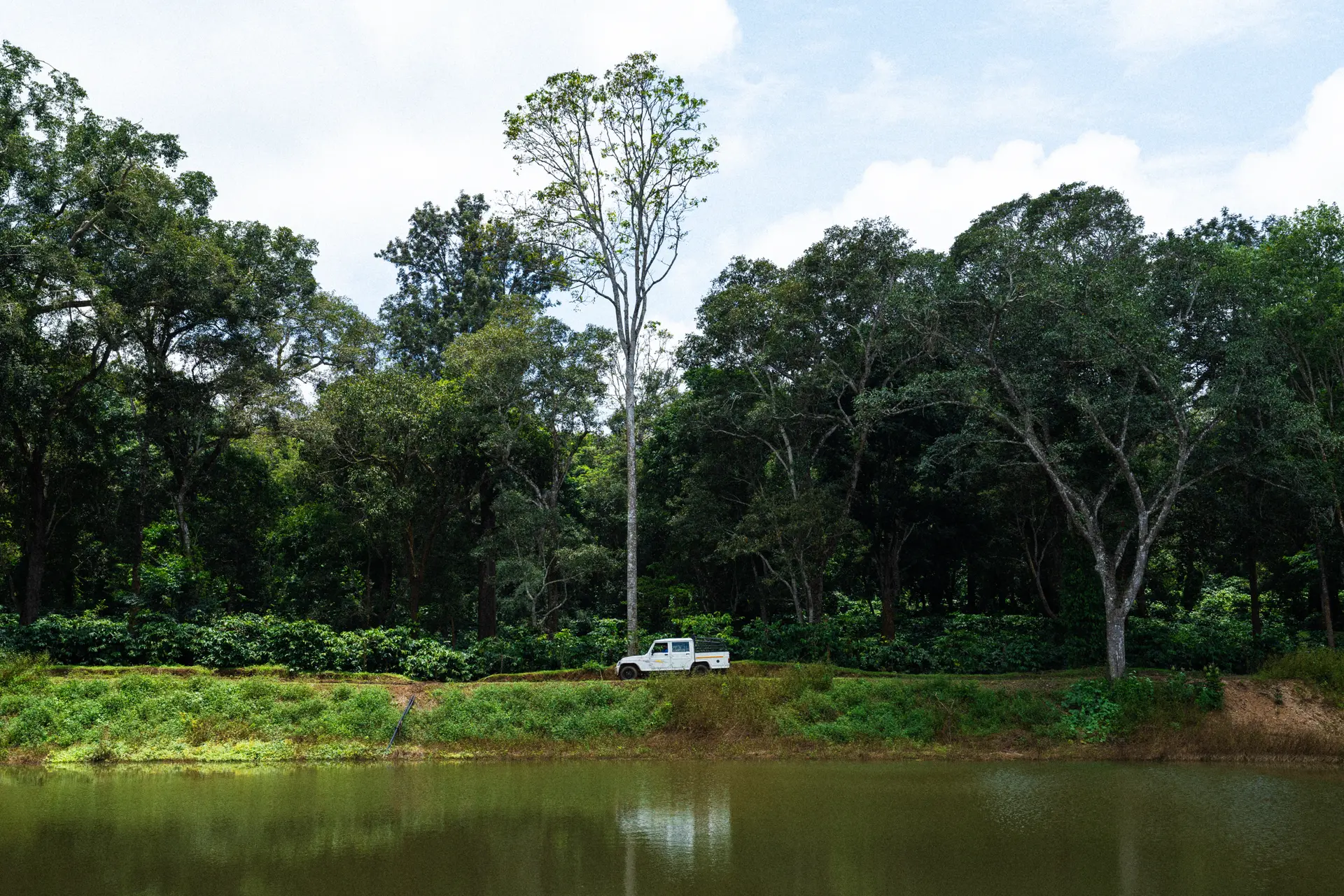 Image 6 of the property