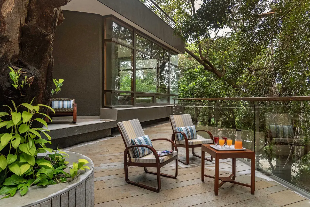 Sitting under a canopy of dense greens is a luxury you must experience.