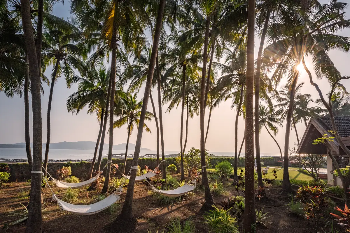 Pause. Breathe. Repeat. The hammock knows best.
