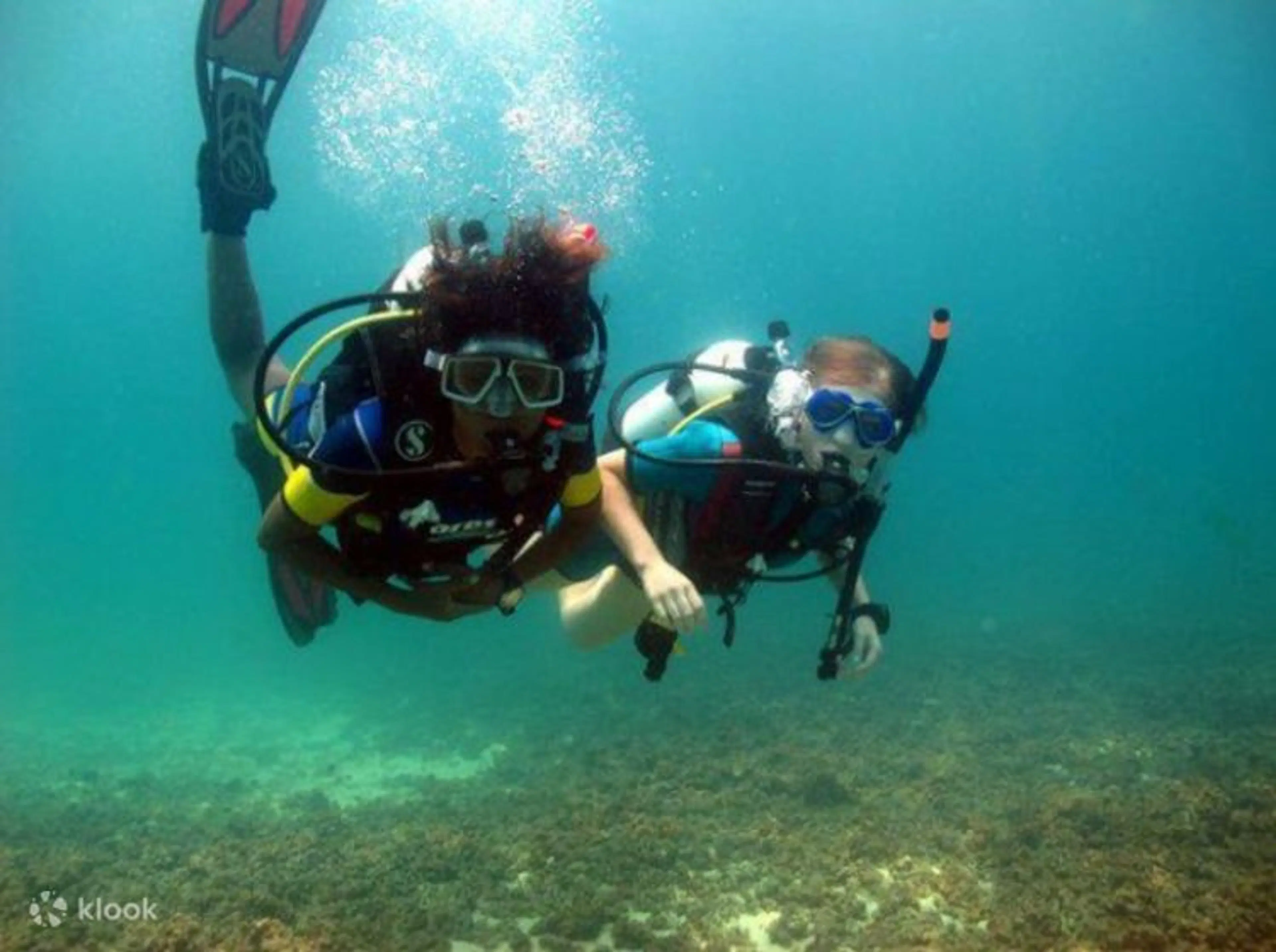 Scuba Diving