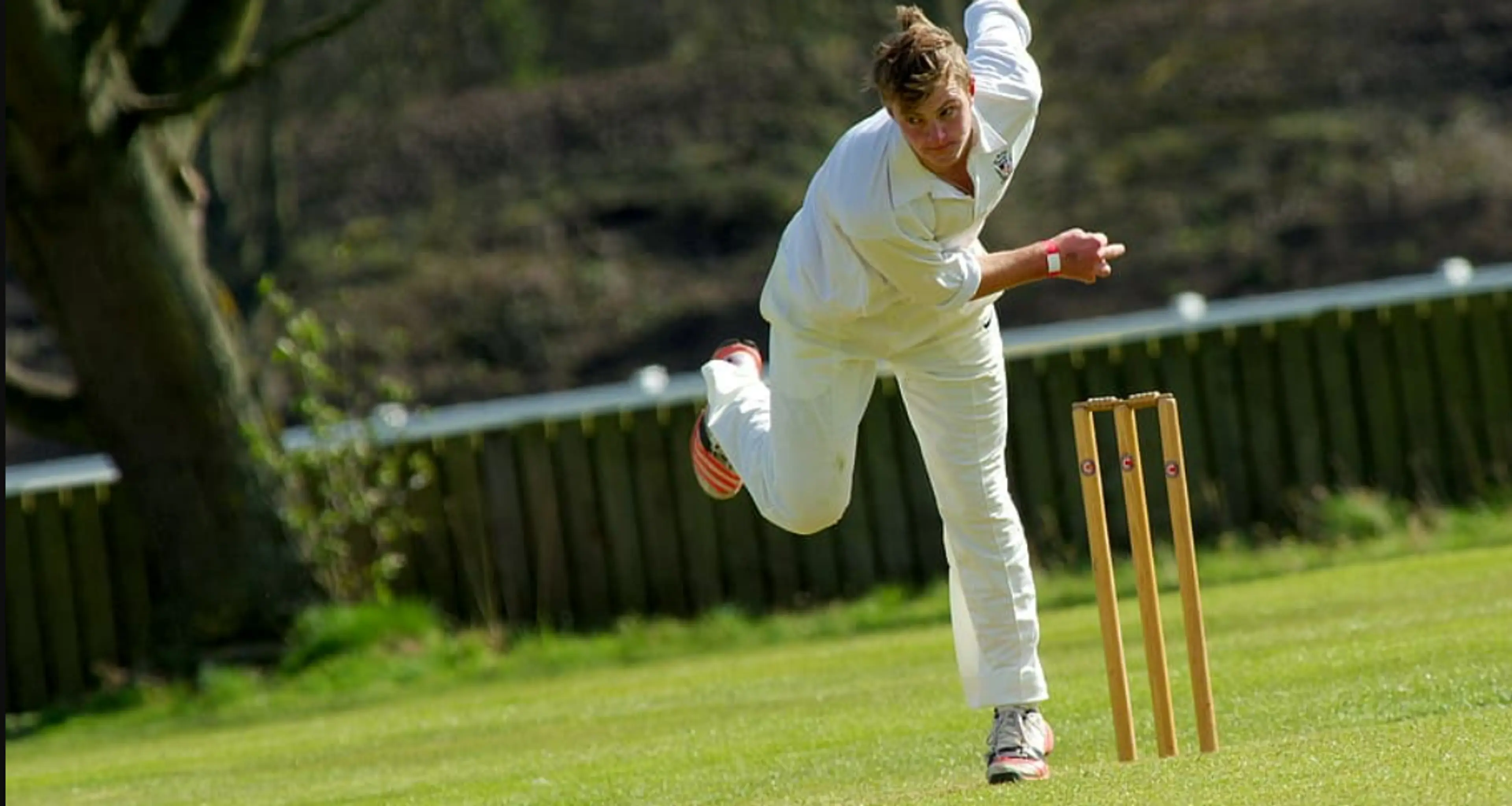 Cricket Turf