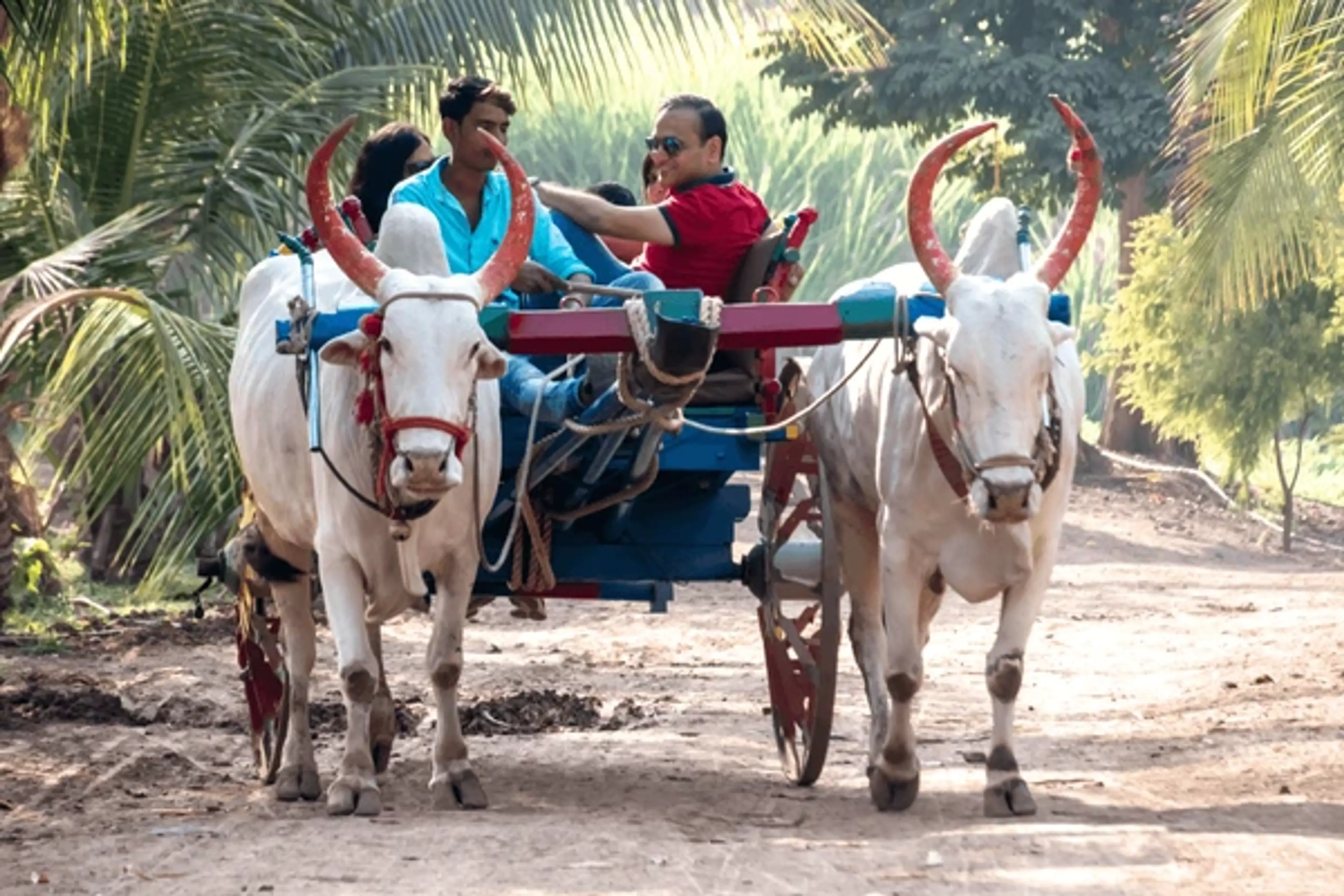 Bullock Cart Ride