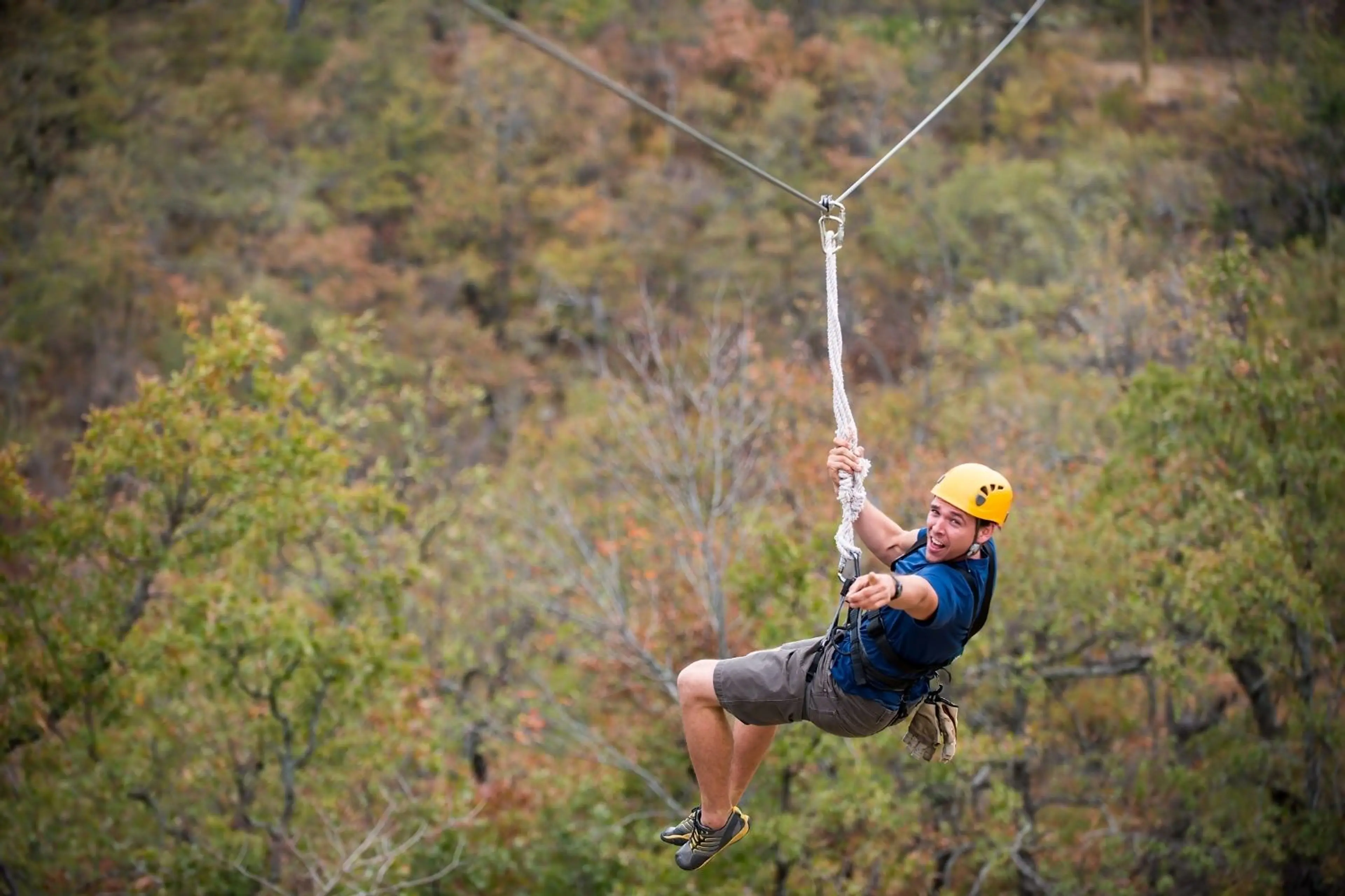 Zip Line