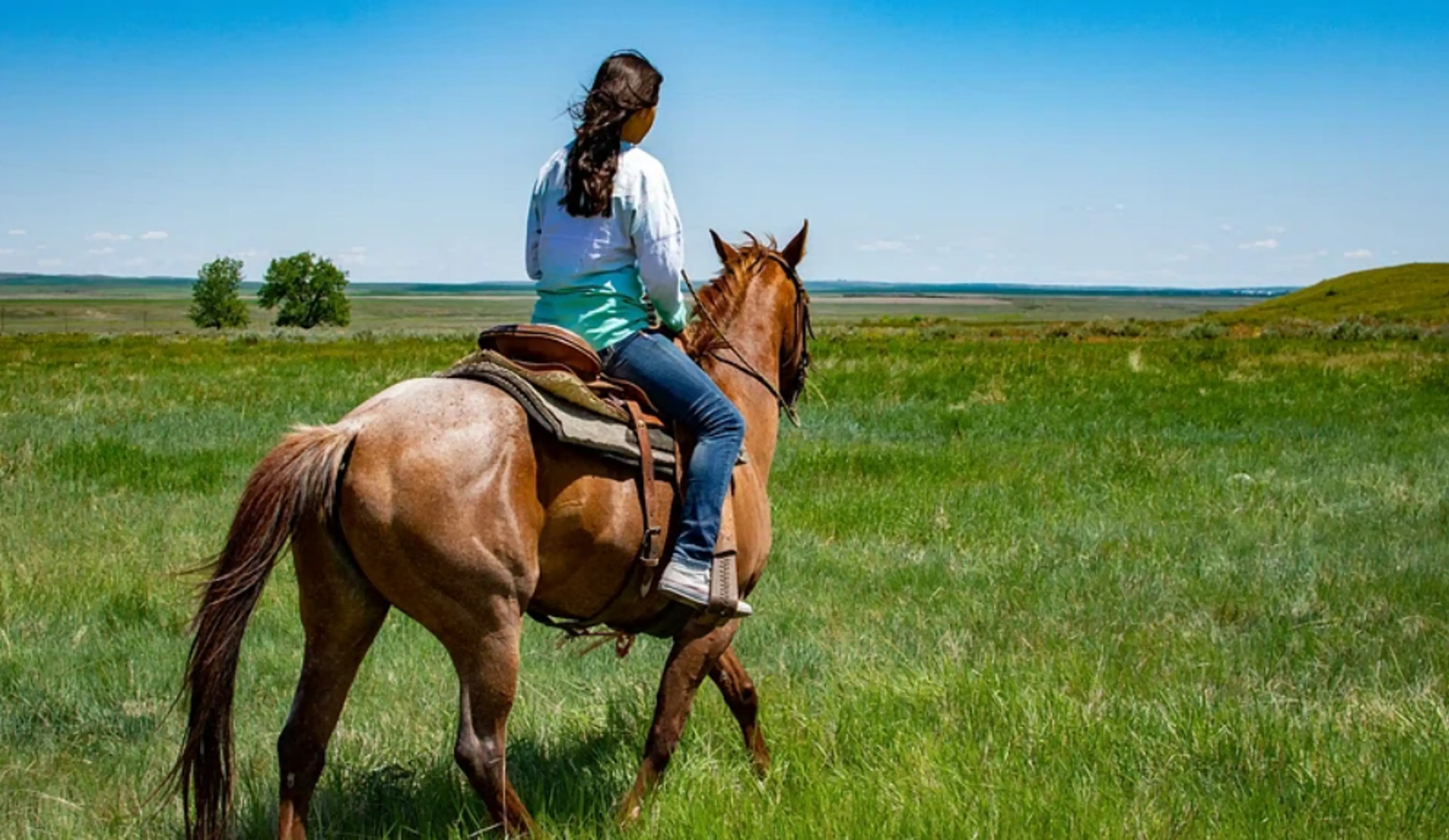 Horse Riding