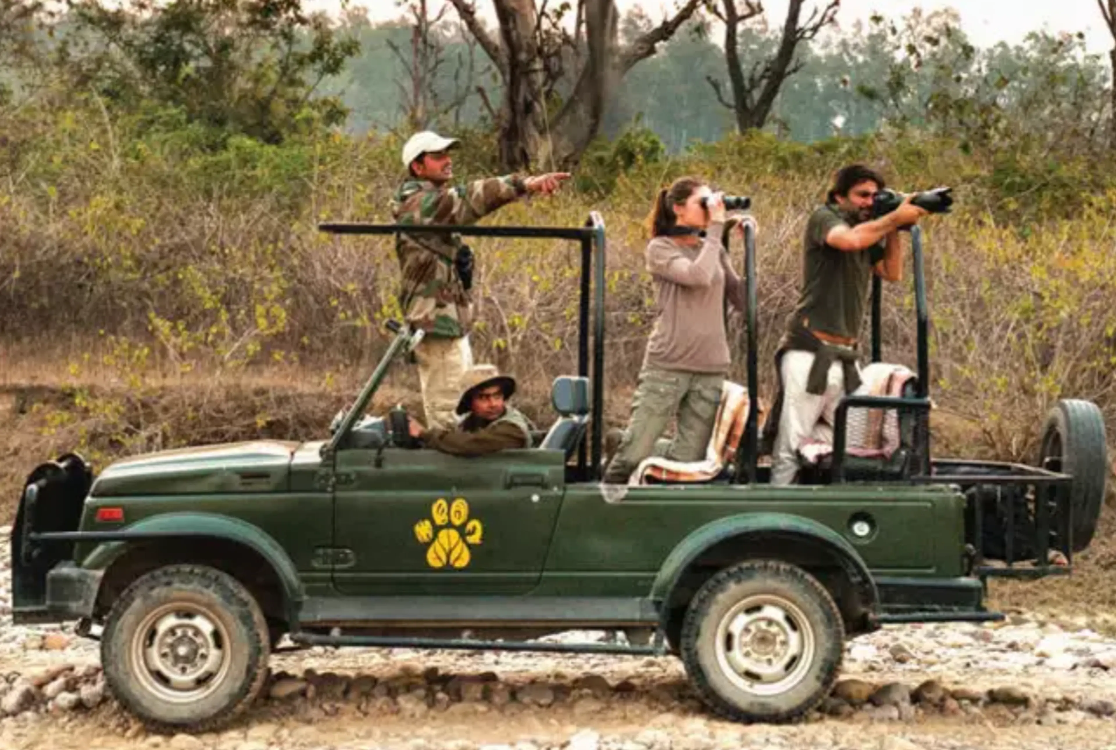 Jungle safari