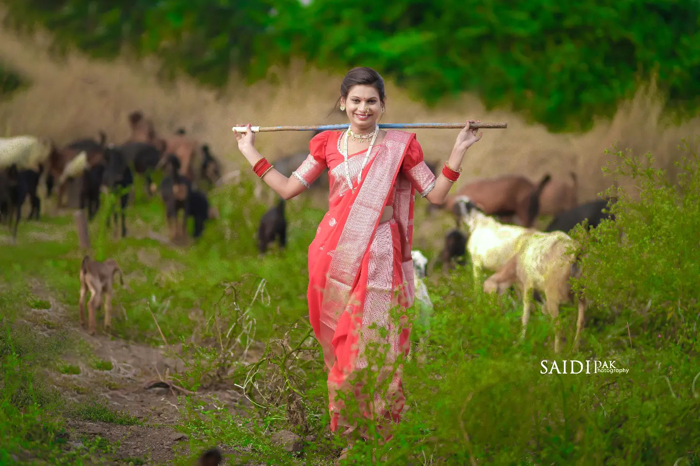 Deepak Barahate portfolio photo 15