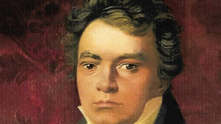 Espectacle "Beethoven" a Plaça de Mañé i Flaquer