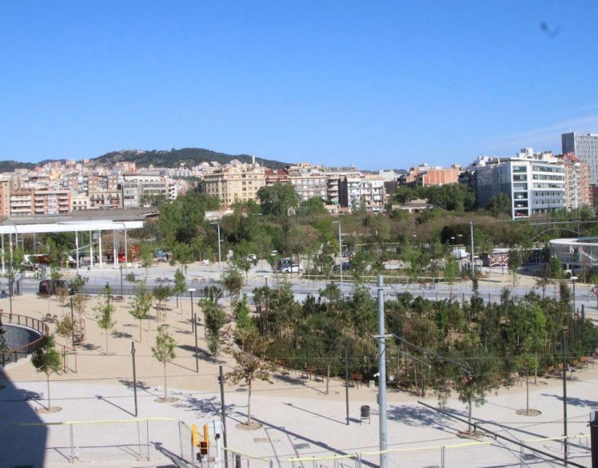 Barcelonins, barcelonines: autoretrat i quatre monòlegs