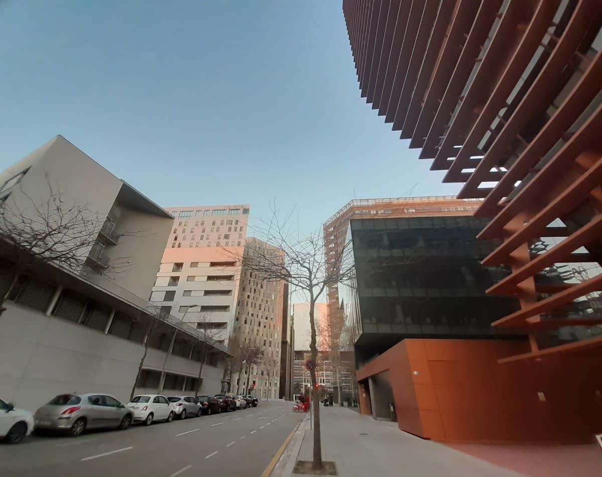 SEVILLANES: ELS TEUS PRIMERS PASSOS