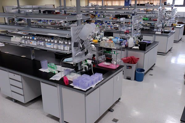 Laboratorio: Prácticas Esenciales