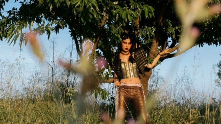 Mater is the ultimate punk: The Analogue Rhizome a la Biblioteca i Arxiu