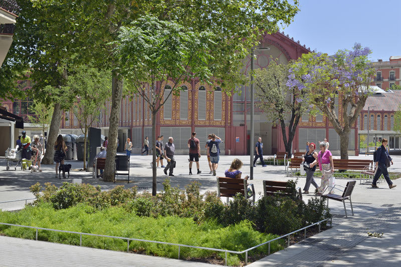 Document de voluntats anticipades a l'Aula Ambiental