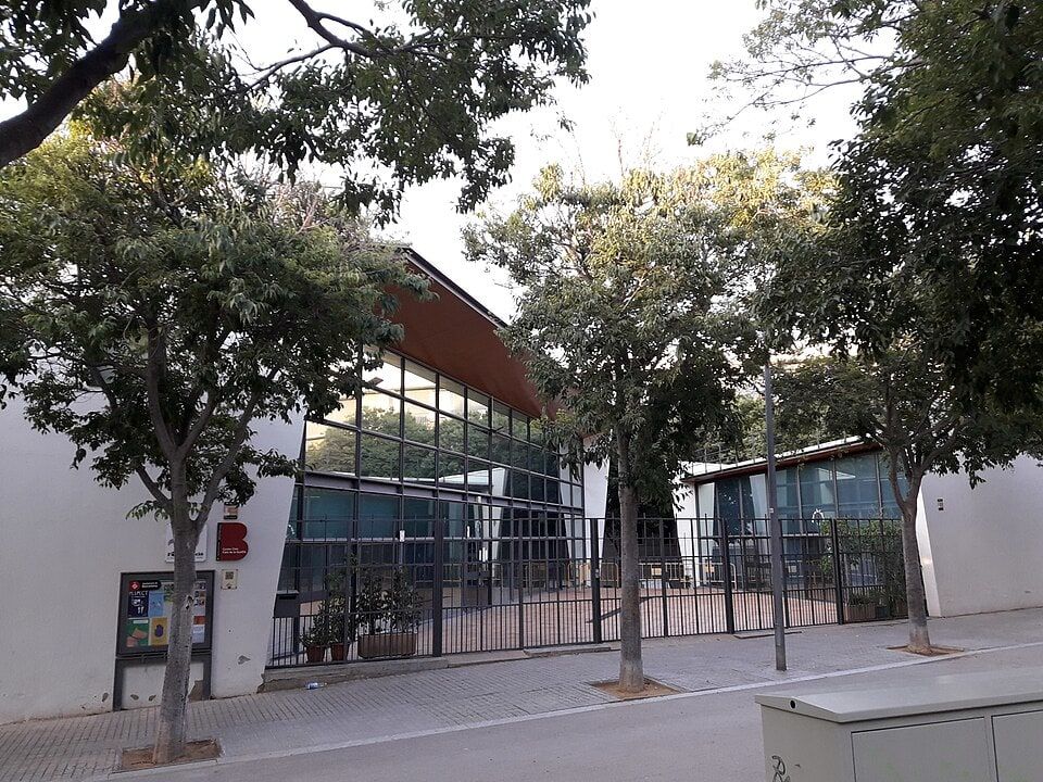 Pulso Urbano: Gimnasia para Mayores Activos