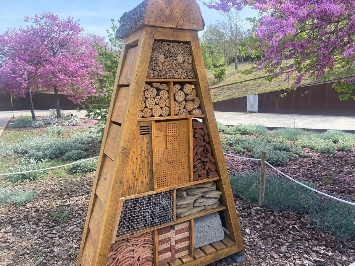 Jardí Botànic de Barcelona 3