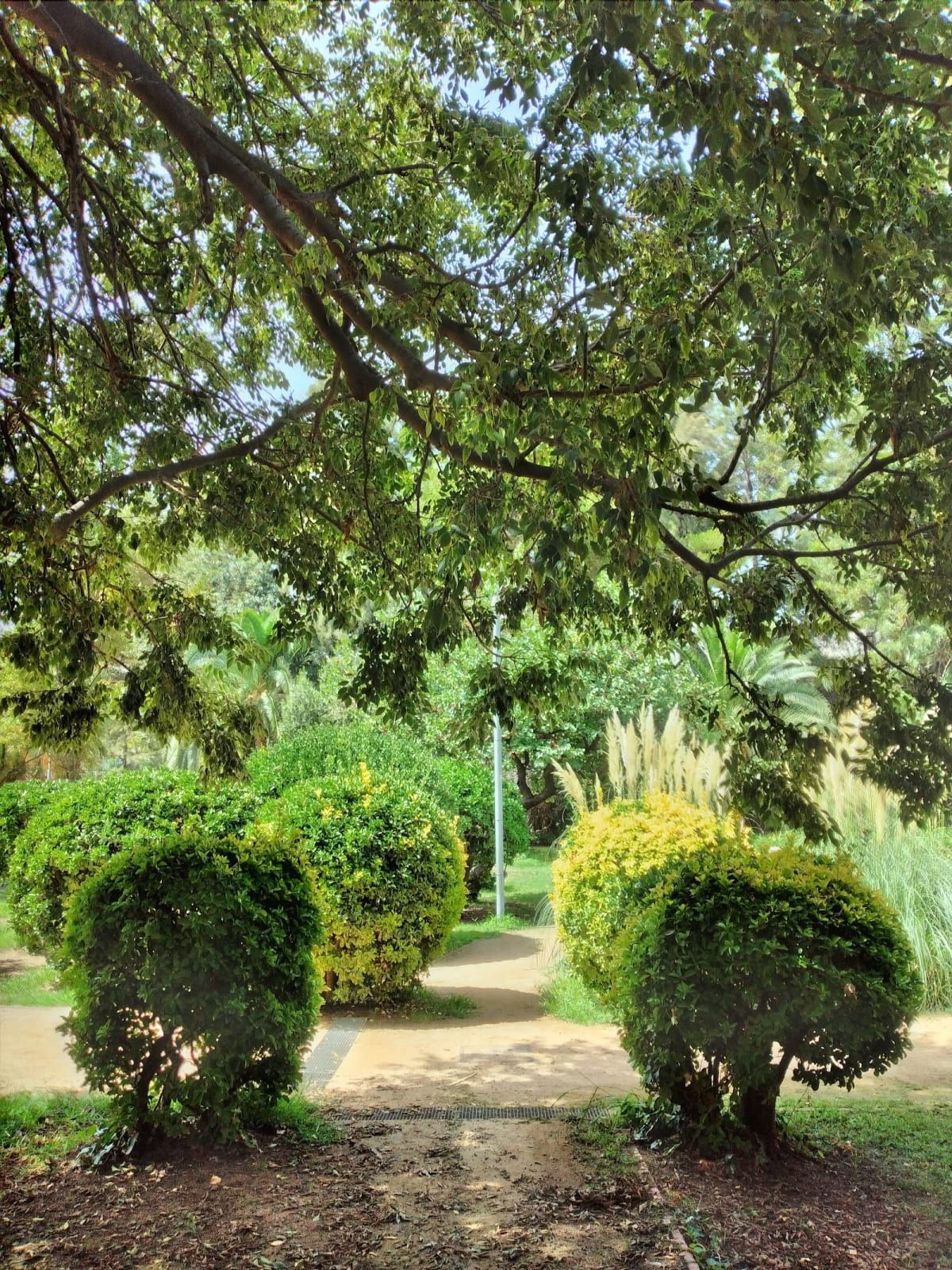 Jardins dels Drets Humans 2