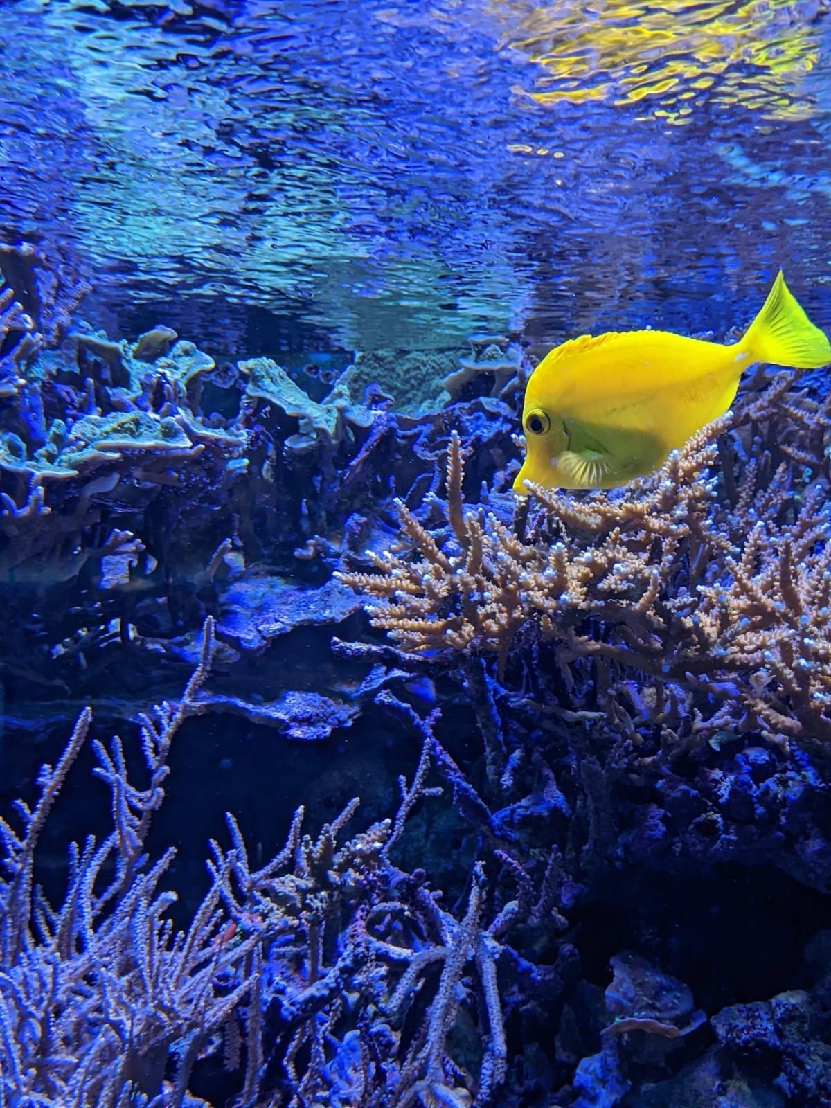 L'Aquàrium de Barcelona 3
