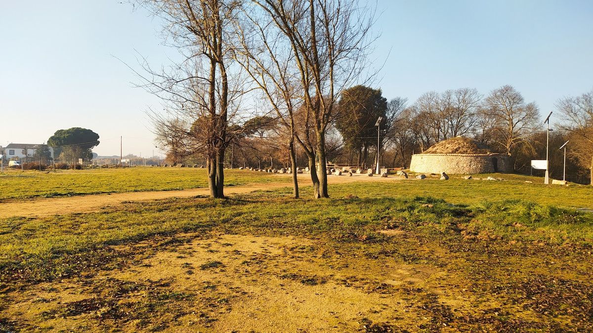 Verneda de Can Gurri 3