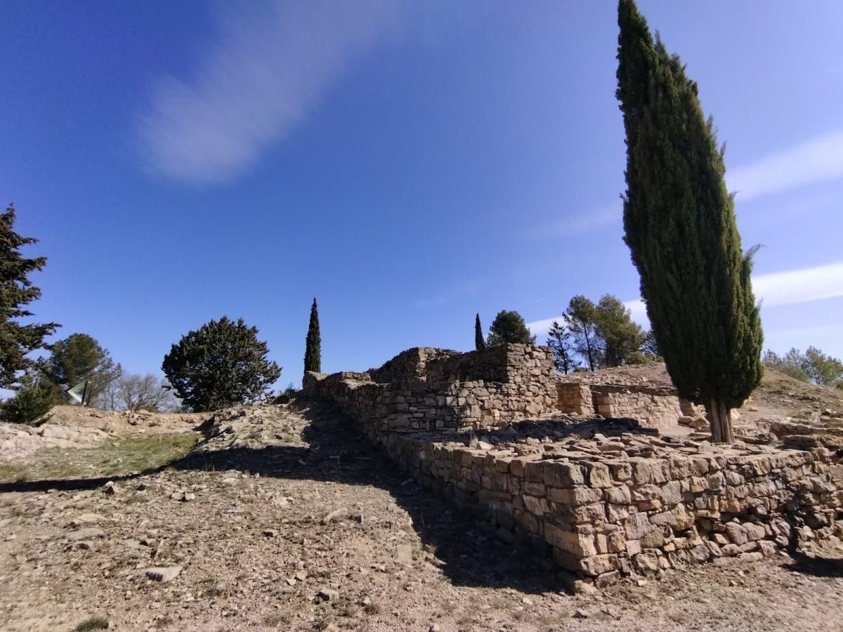 Poblat ibèric del Cogulló 1