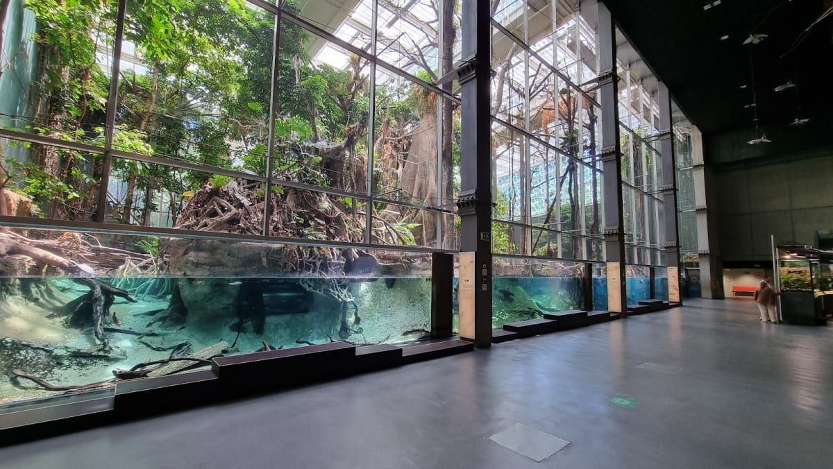 CosmoCaixa Barcelona 2