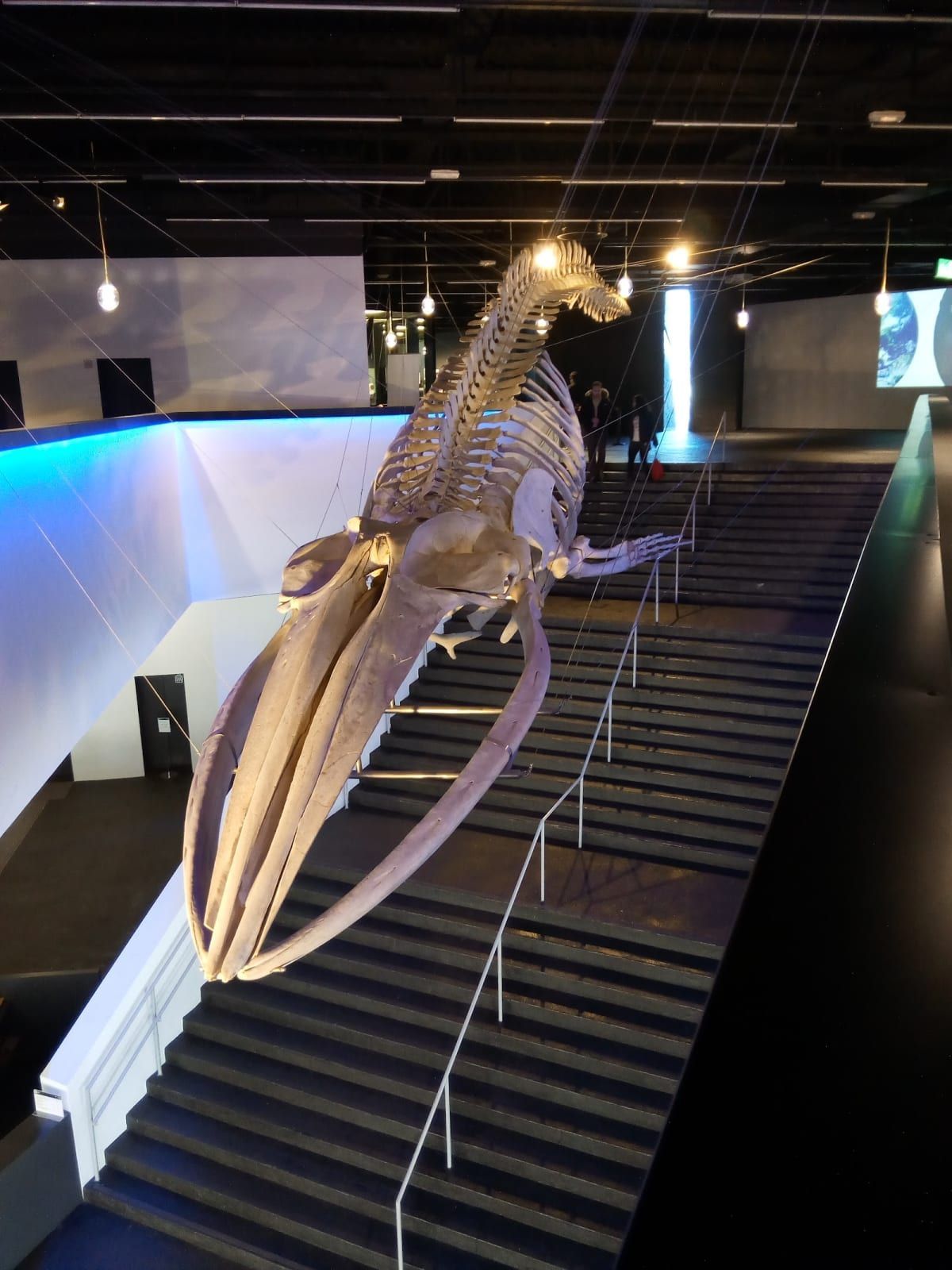 Museu de Ciències Naturals de Barcelona 2
