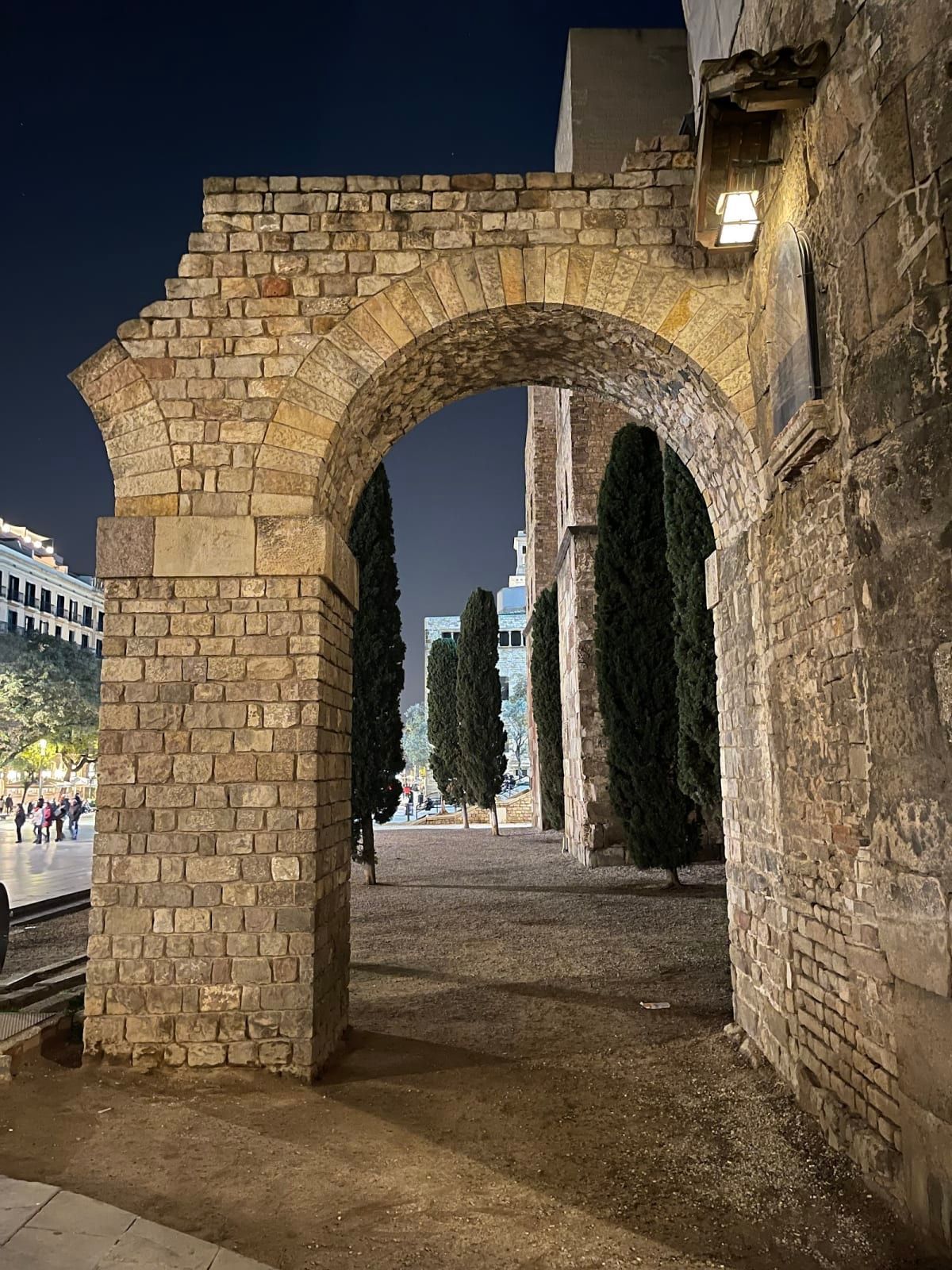 L'Aqüeducte Palombarum 2