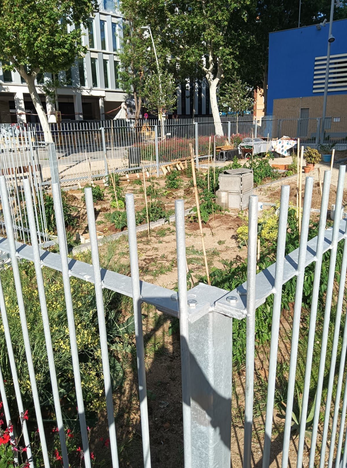 L'Hort del Cànem 3