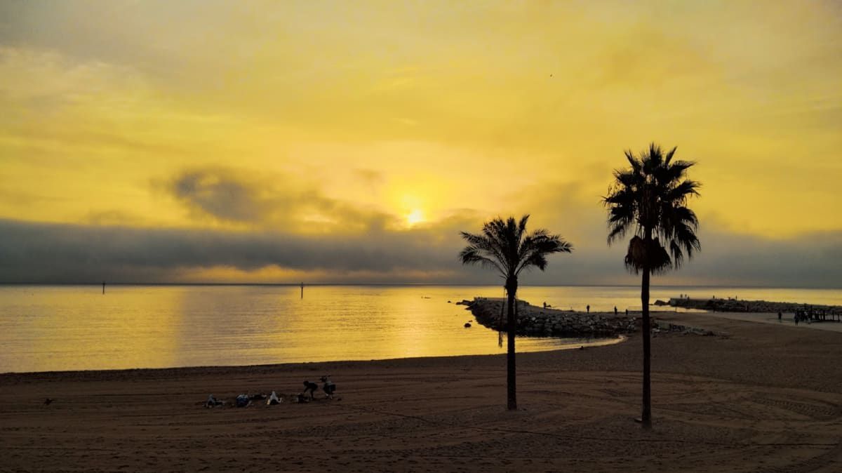 Passeig Marítim de la Barceloneta 3