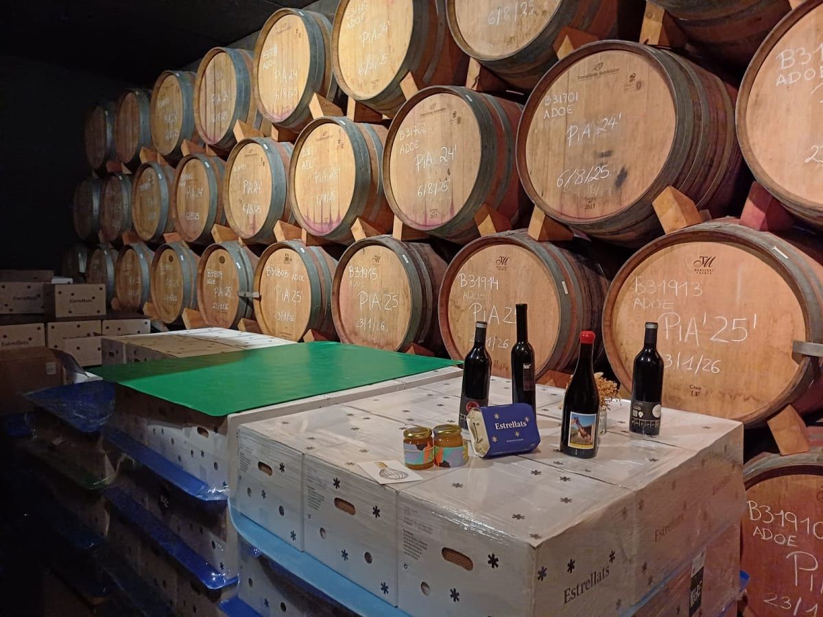 Celler la Vinyeta 3