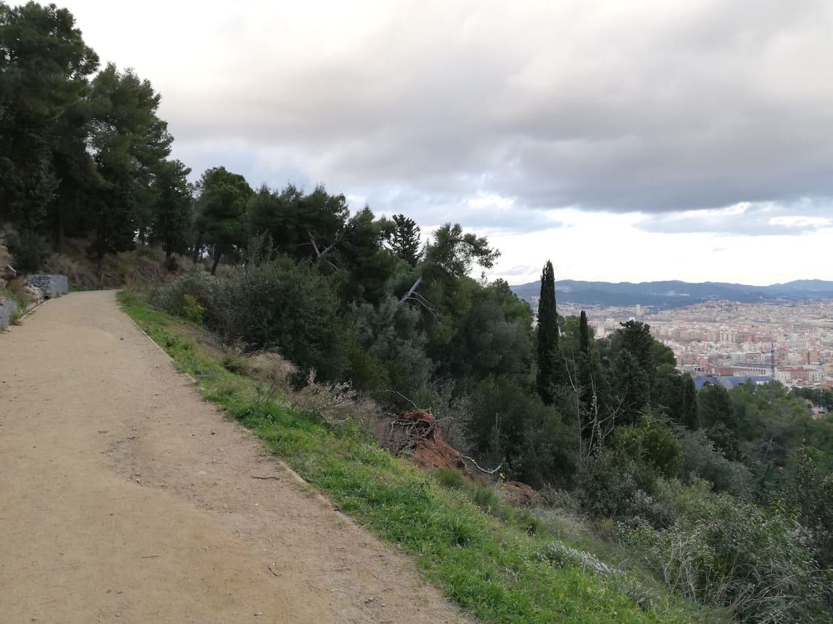 Parc del Guinardó 2