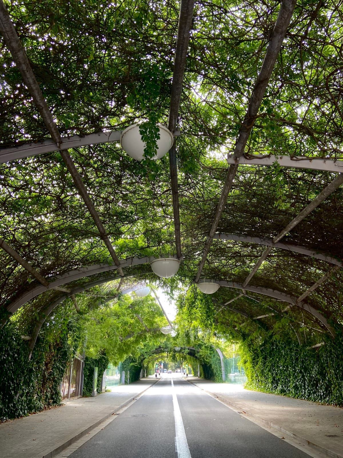 Parc del Centre del Poblenou 3