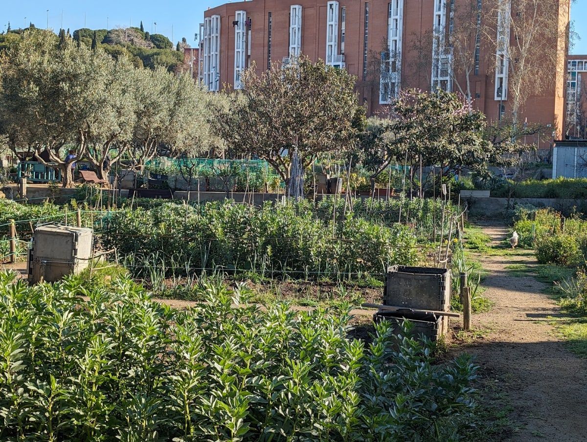 Hort Urbà Masia Can Mestres 1
