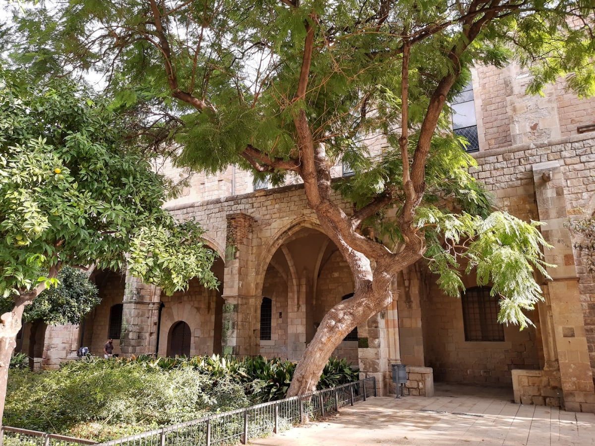Biblioteca Sant Pau - Santa Creu 3
