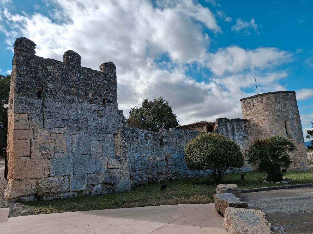 Castell d'Olèrdola 2