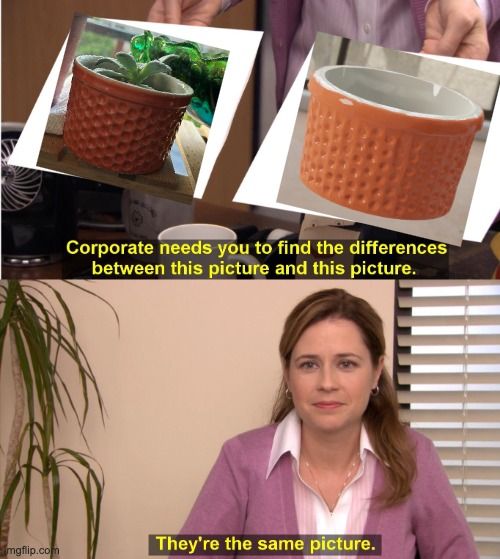 meme