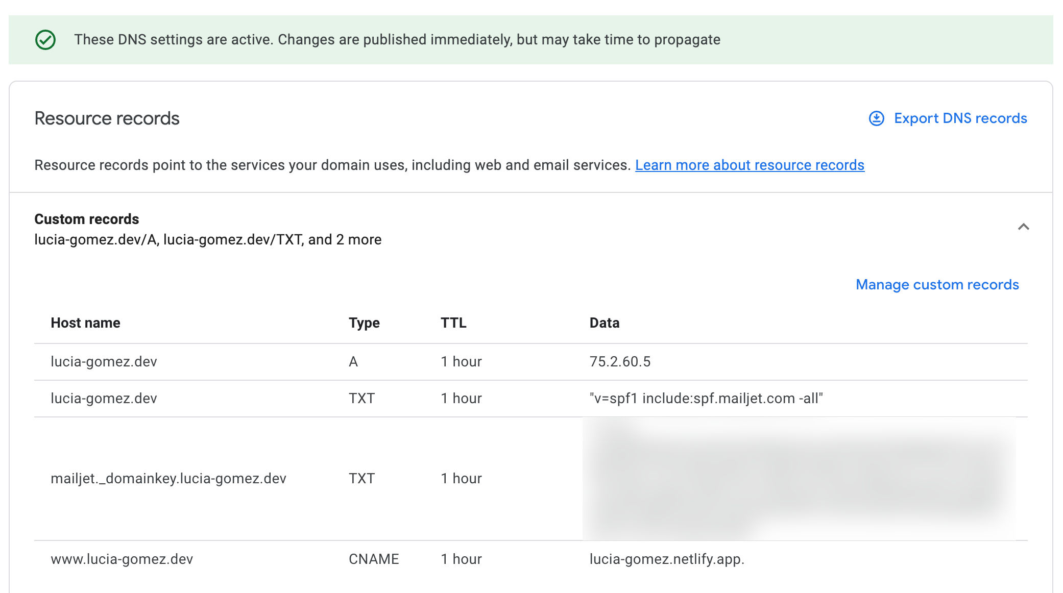 Google Domains DNS settings