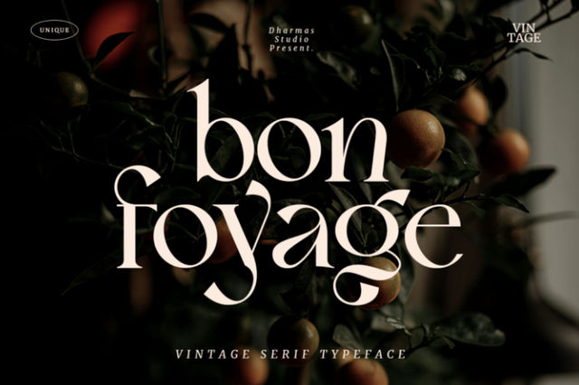retro fonts bundle