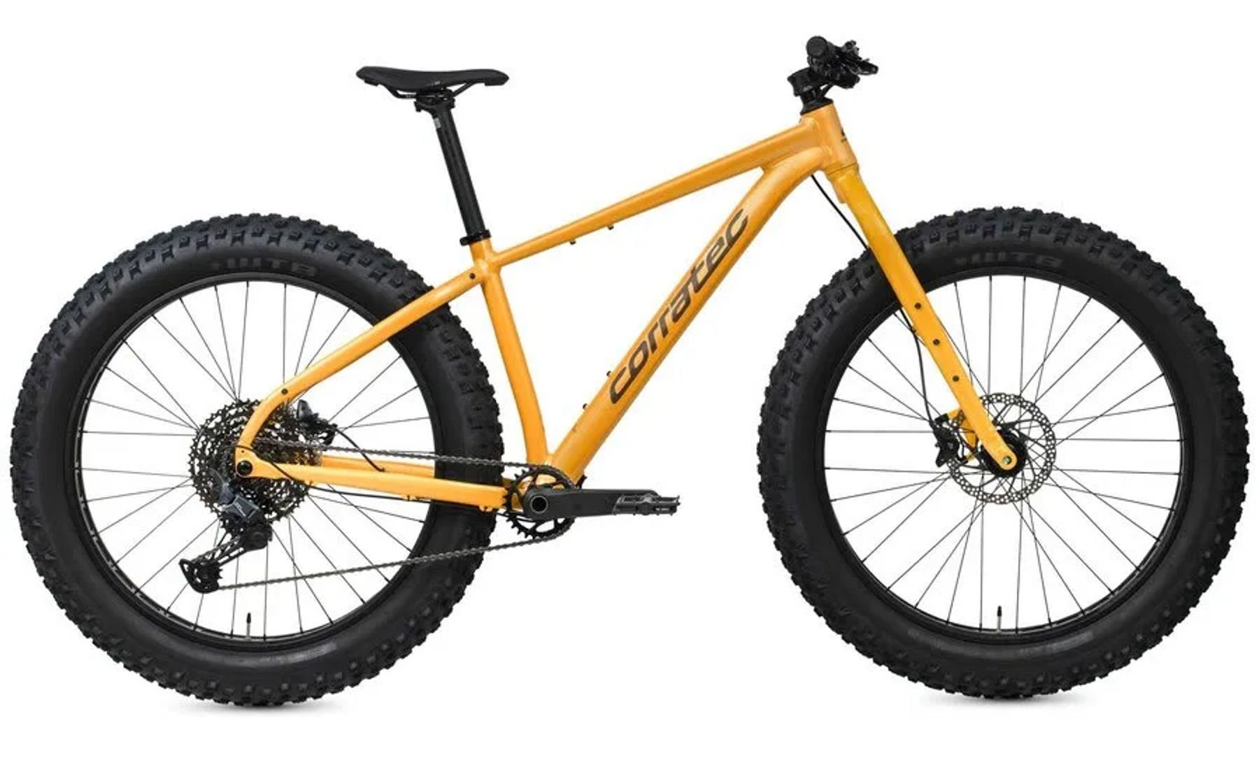 Corratec ROAR PRO