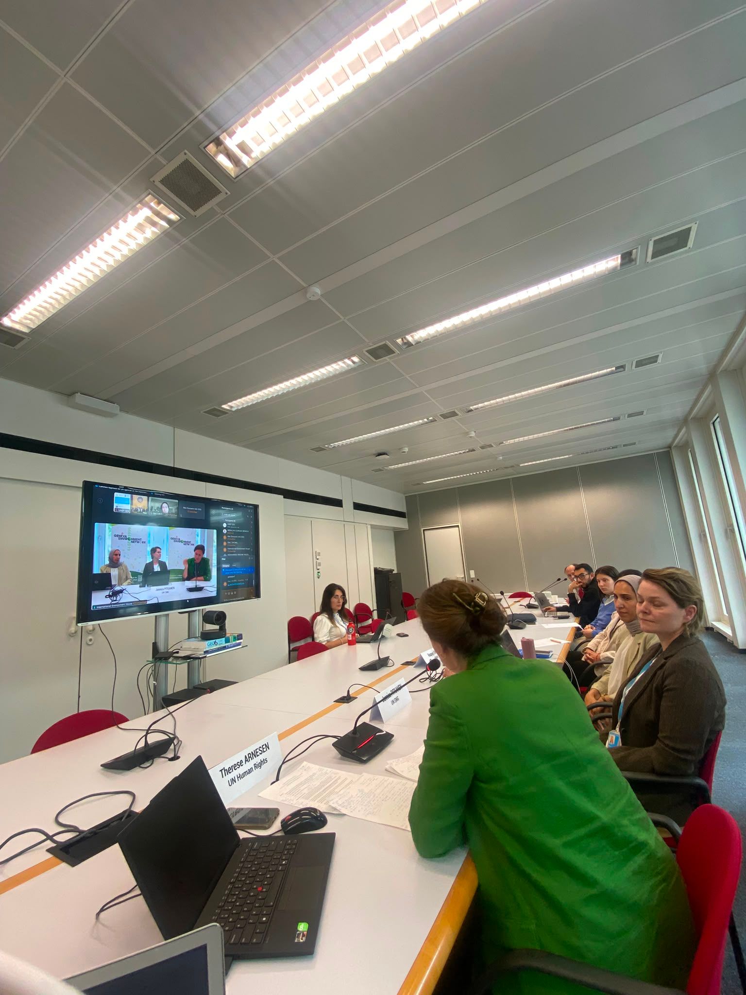 CSOs Consultation session in Geneva