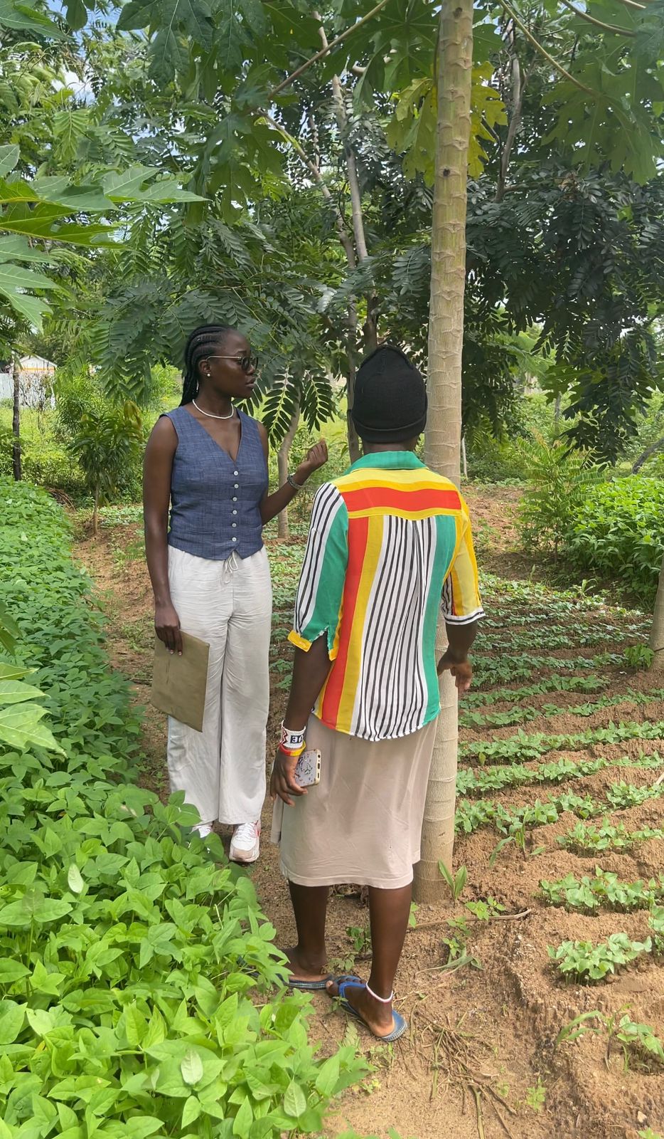 Girls in classroom education program