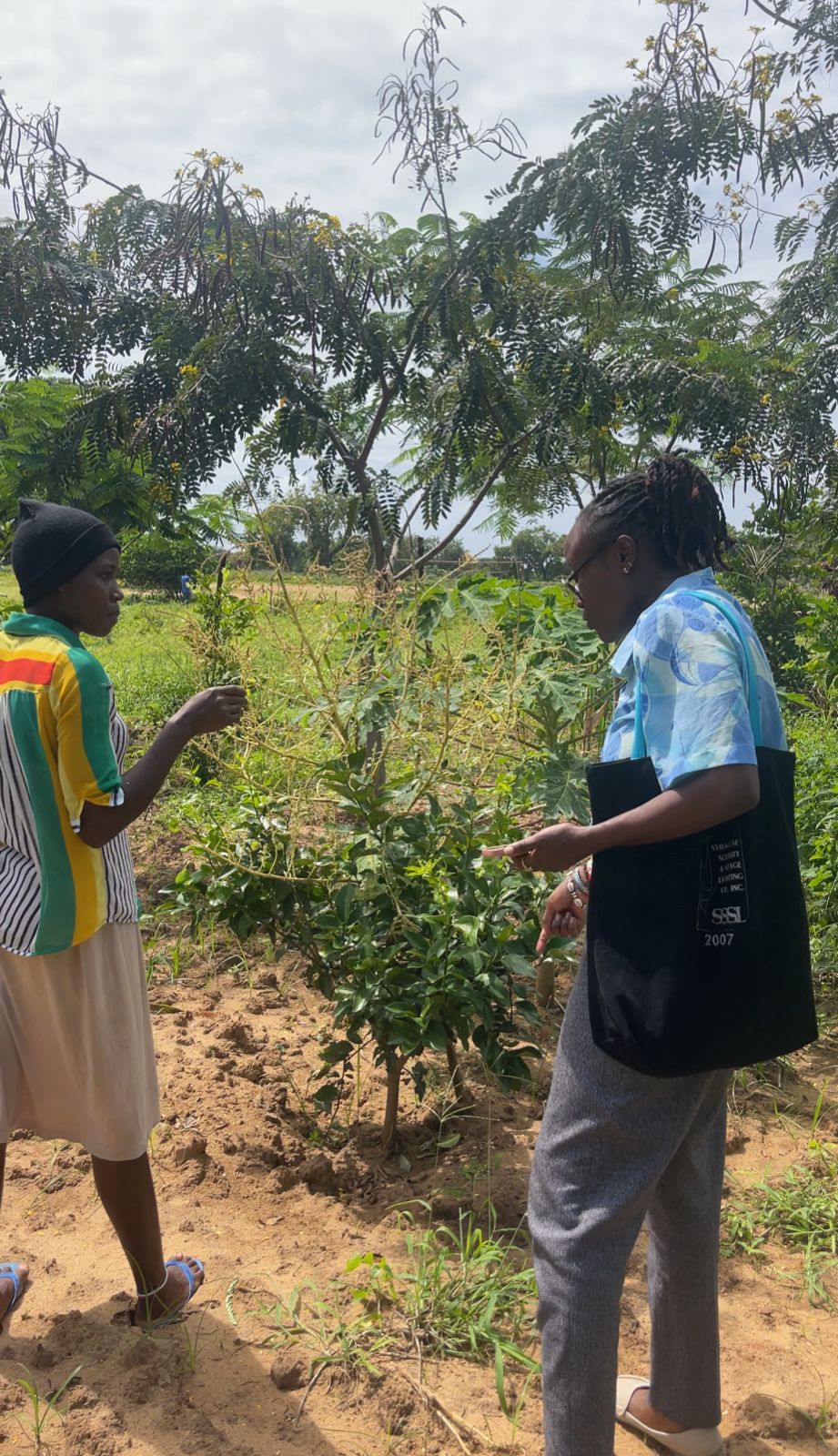 Women in community leadership meeting