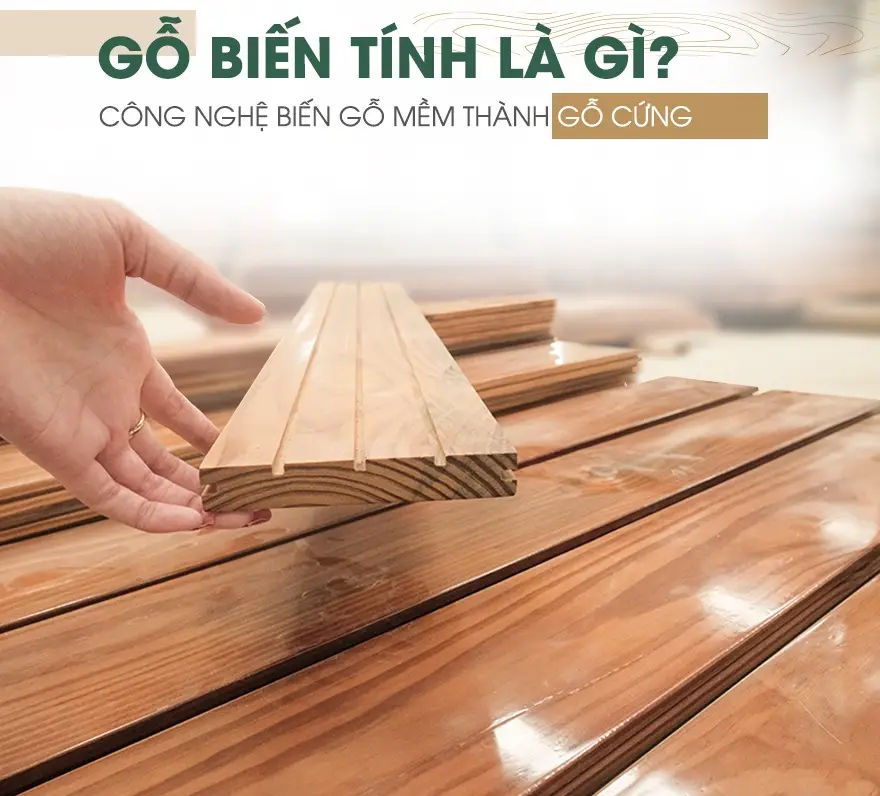 03 loại gỗ tự nhiên dành cho sàn hồ bơi - Sự lựa chọn hoàn hảo mang đẳng cấp và độ bền vượt trội