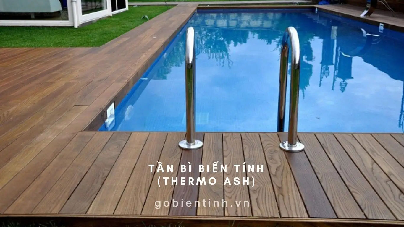 Gỗ tần bì biến tính
