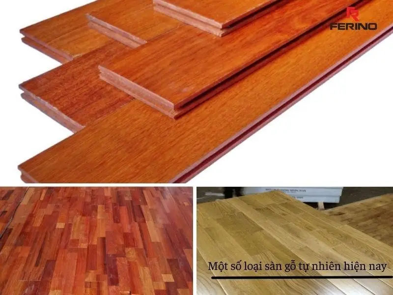 các loại sàn gỗ tự nhiên hiện nay