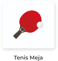 Tenis Meja