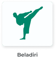 Beladiri