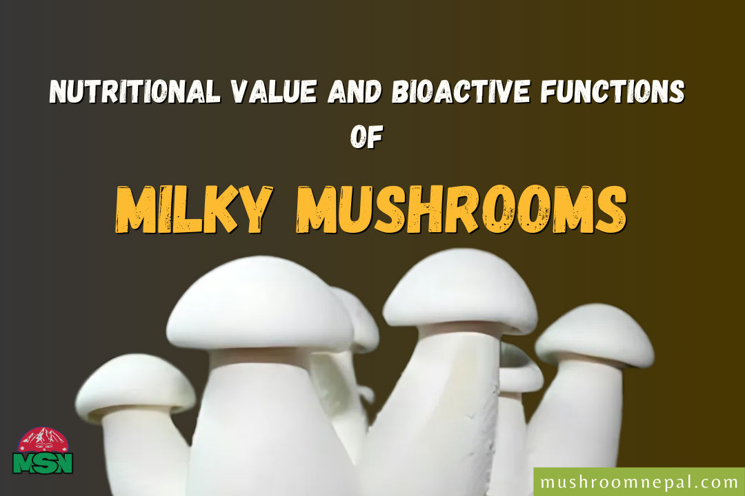 Nutritional Value and Bioactive Functions of Milky Mushrooms