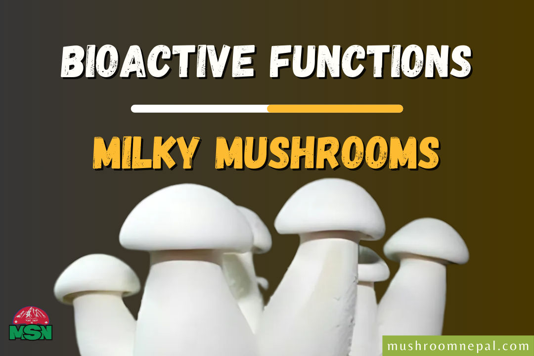 Bioactive Functions of Milky Mushrooms