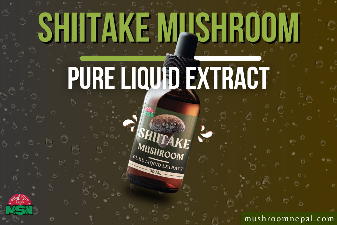 MSN Shiitake Mushroom Pure Liquid Extract