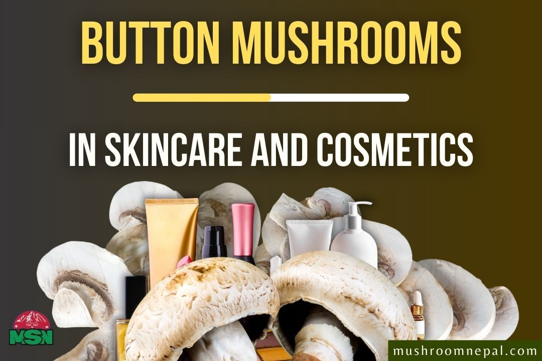 Button Mushrooms in Skincare and Cosmetics
